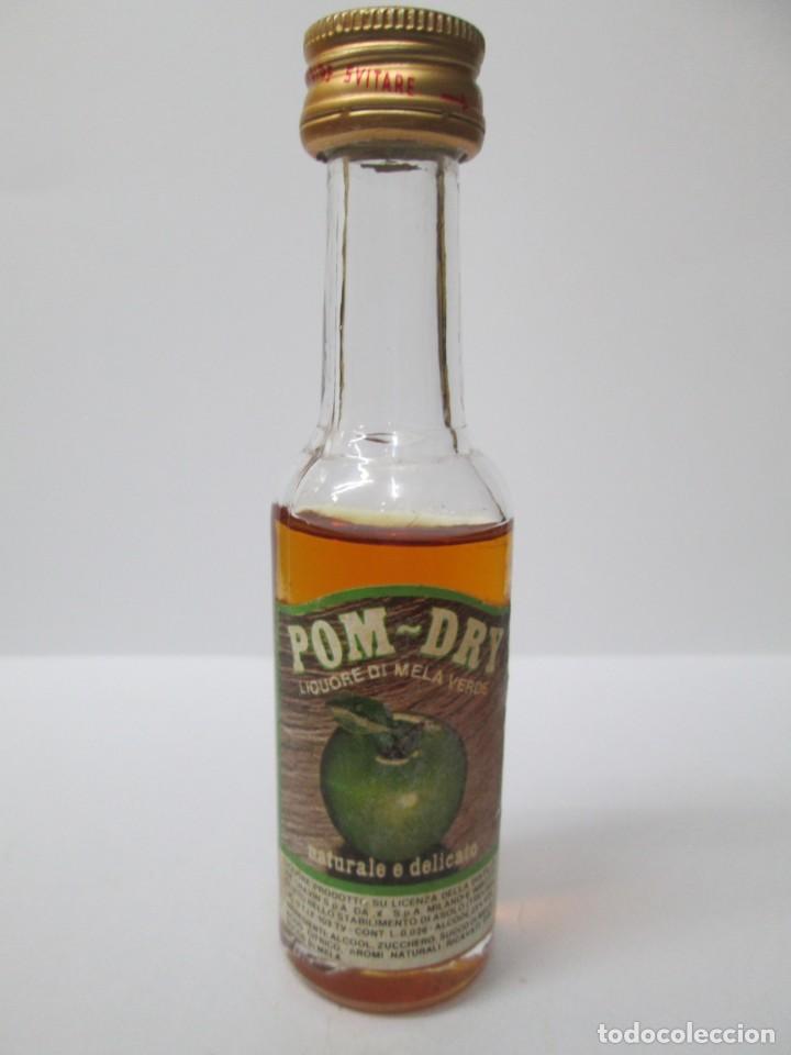 Coleccionismo de vinos y licores: ANTIGUO BOTELLIN BRANDY CO&Ntilde;AC, POM-DRY