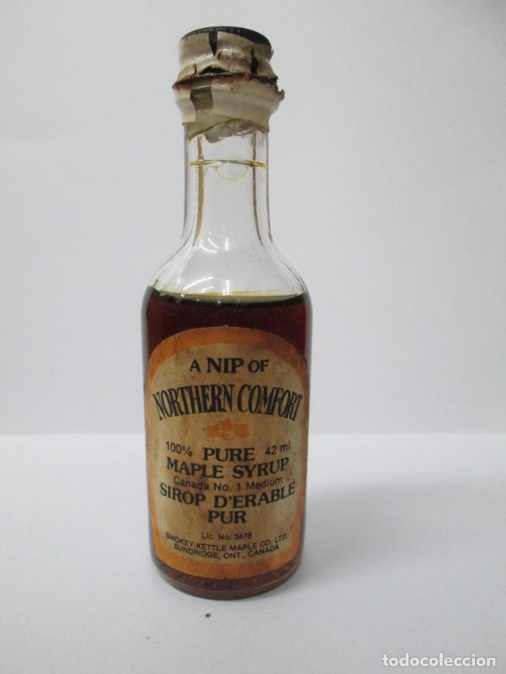 Coleccionismo de vinos y licores: ANTIGUO BOTELLIN BRANDY CO&Ntilde;AC, ANIP OF NORTHERN CONFORT 100%