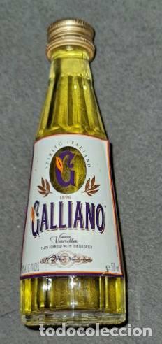 Collection of wines and liquors: botell&iacute;n. Galiano. Spirito Italiano. 1896. Smooth Vanilla