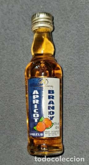 Coleccionismo de vinos y licores: Botell&iacute;n. Apricot Brandy. Antonio Nadal. Liqueur