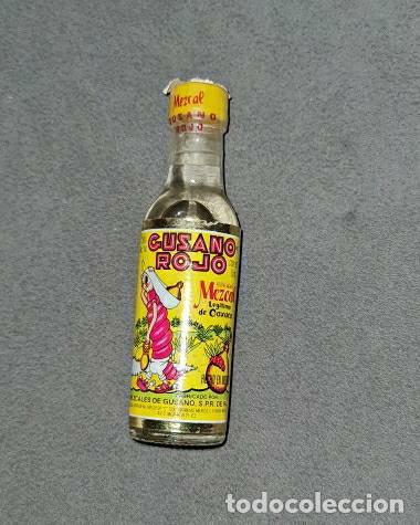 Collection of wines and liquors: Botell&iacute;n. Gusano rojo. Mezcal de Oaxaca