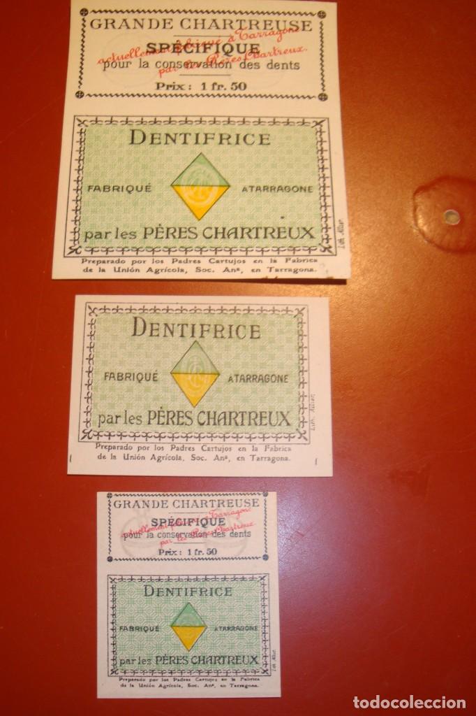 Coleccionismo de vinos y licores: CHARTREUSE - Foto 1