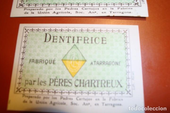 Coleccionismo de vinos y licores: CHARTREUSE - Foto 2