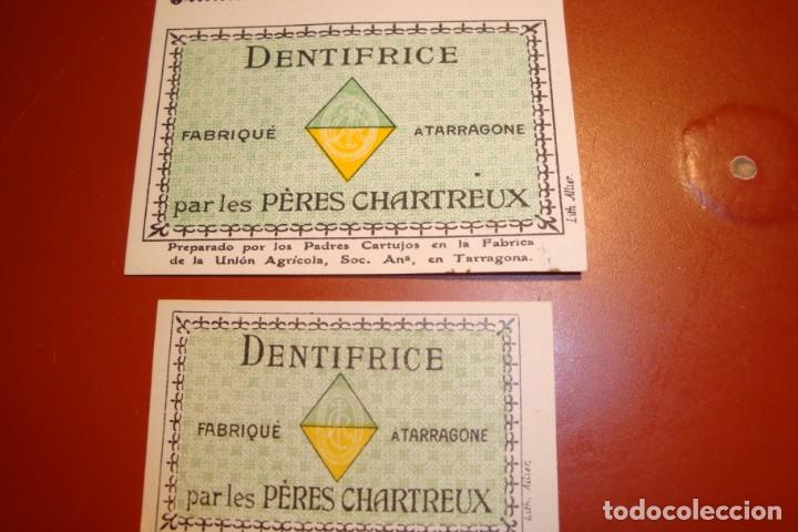 Coleccionismo de vinos y licores: CHARTREUSE - Foto 3