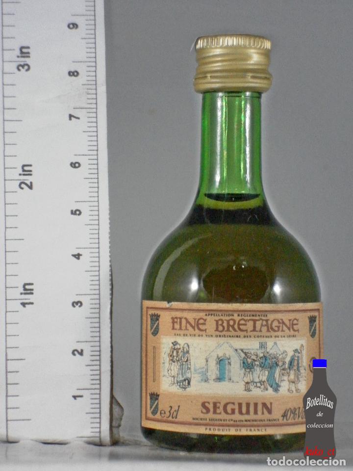 Sammlung von Weinen und Lik&ouml;ren: BOTELLITA BOTELLIN FINE BRETAGNE SEGUIN FRANCE