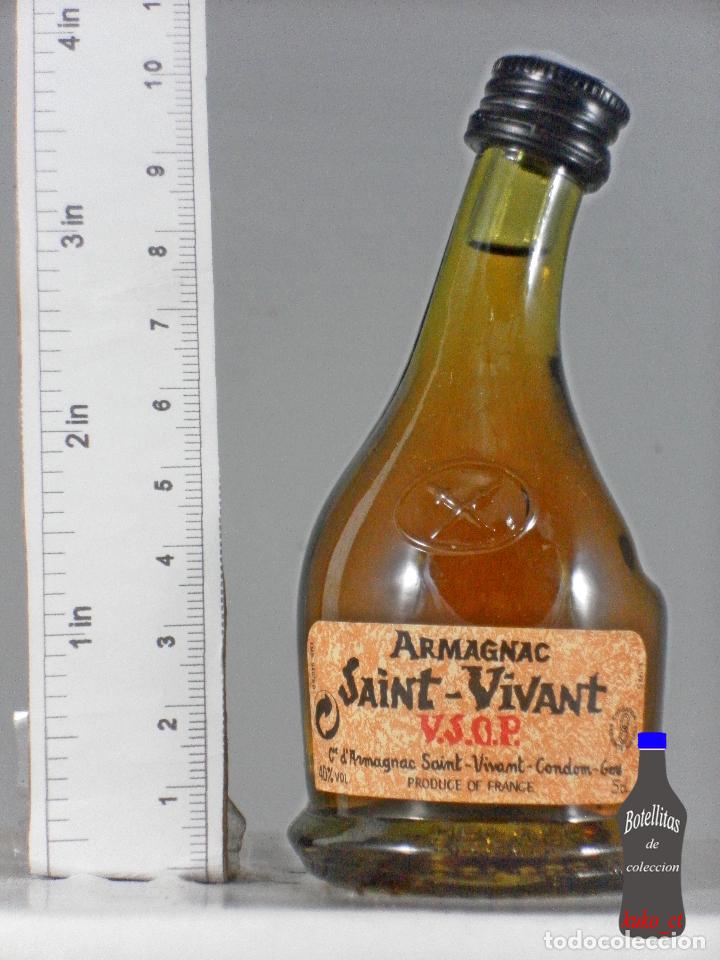 Sammlung von Weinen und Lik&ouml;ren: BOTELLITA BOTELLIN ARMAGNAC SAINT VIVANT CINDOM FRANCE
