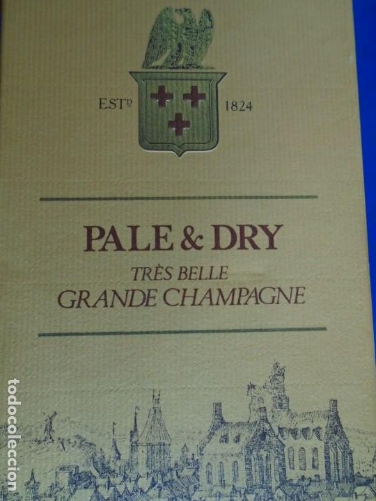 Coleccionismo de vinos y licores: (LI-190700)COGNAC DELAMAIN PALE & DRY TRES BELLE GRANDE CHAMPAGNE DELICATE ET LEGERE, JARNAC 70 CL - Foto 3 - 272940073