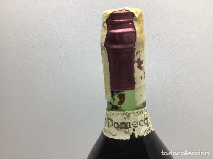 Coleccionismo de vinos y licores: VINO QUINADO PEDRO DOMECQ - JEREZ - TONICO RECONSTITUYENTE - VIÑAS MACHARNUDO - Foto 3 - 283664808