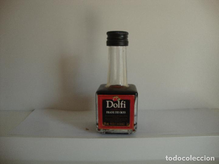 Coleccionismo de vinos y licores: BOTELLIN DOLFI - Foto 1