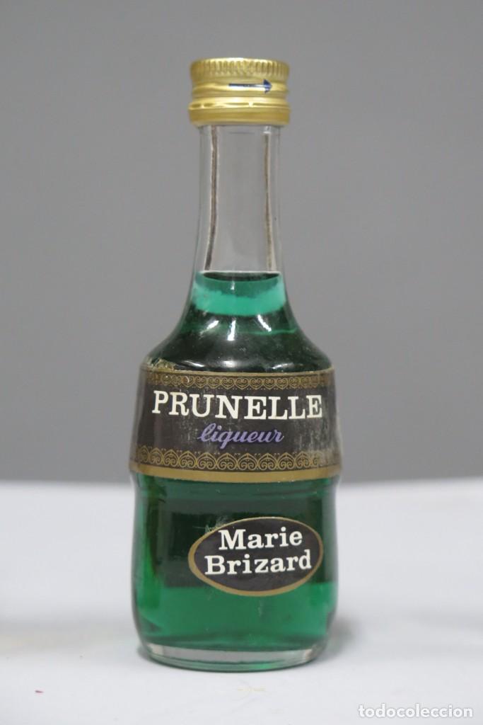 Collectionnisme de vins et liqueurs: BOTELLIN. PRUNELLE. MARIE BRIZARD