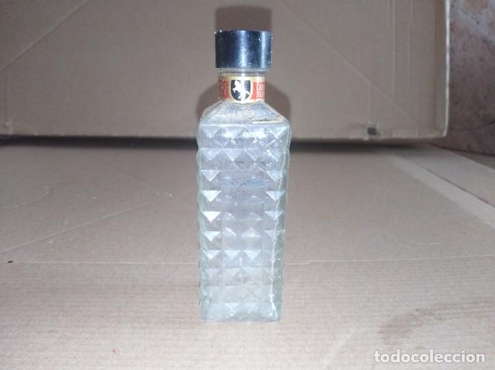 Coleccionismo de vinos y licores: botellin ginebra gin caballo blanco