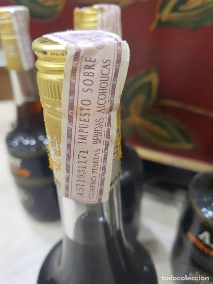 Coleccionismo de vinos y licores: Lote de 9 botellas apricot brandy - Foto 3 - 301902898