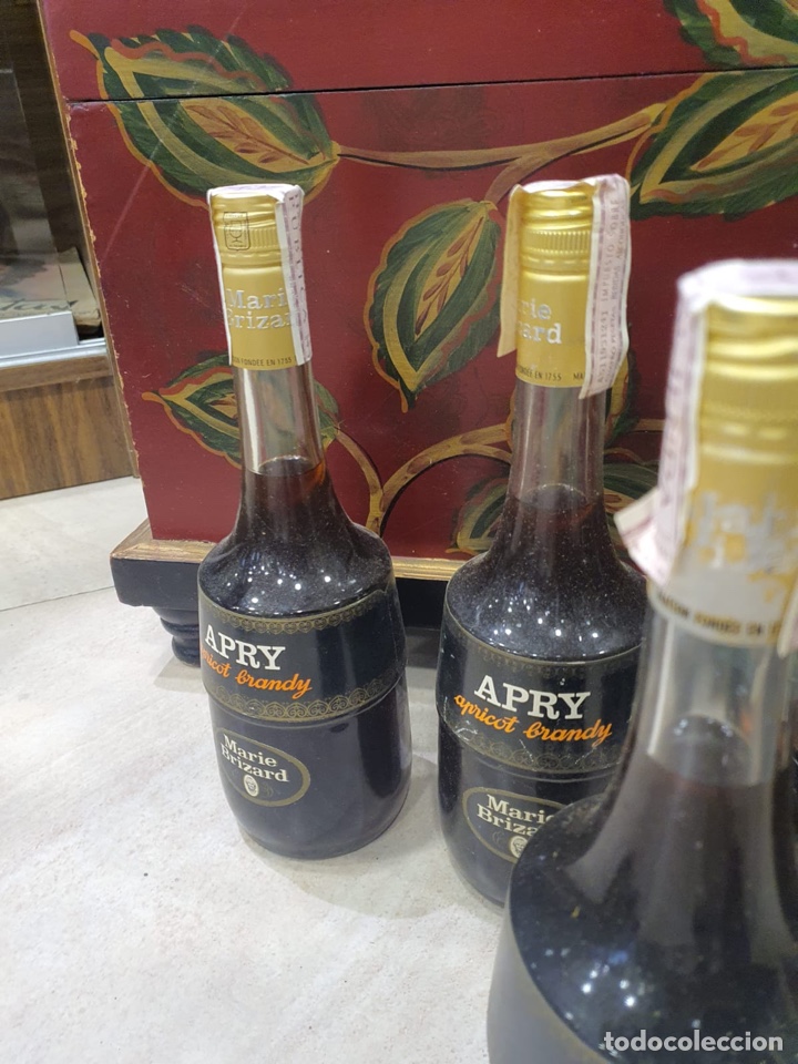 Coleccionismo de vinos y licores: Lote de 9 botellas apricot brandy - Foto 8 - 301902898