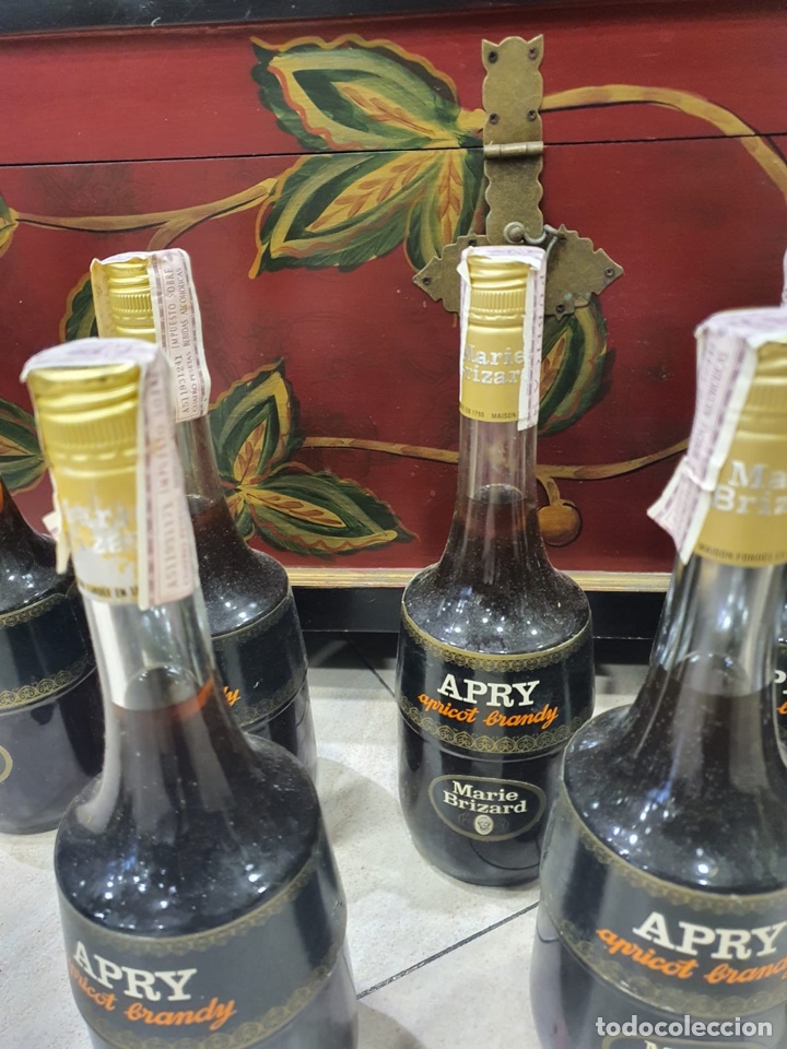 Coleccionismo de vinos y licores: Lote de 9 botellas apricot brandy - Foto 9 - 301902898