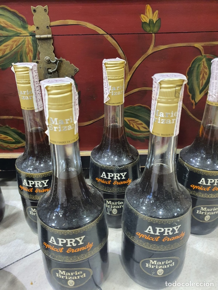 Coleccionismo de vinos y licores: Lote de 9 botellas apricot brandy - Foto 10 - 301902898