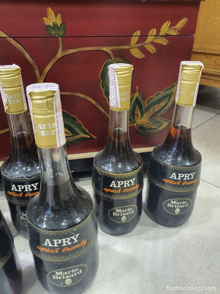 Coleccionismo de vinos y licores: Lote de 9 botellas apricot brandy - Foto 11 - 301902898