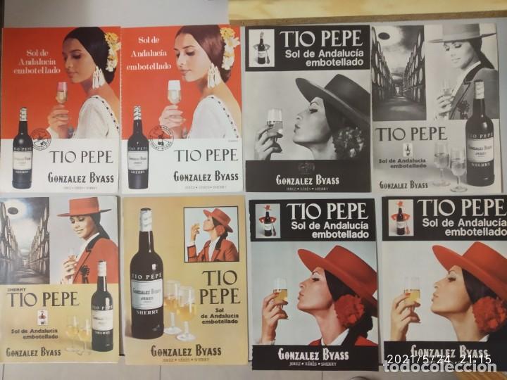 Sammlung von Weinen und Lik&ouml;ren: TIO PEPE, GONZALEZ BYASS.