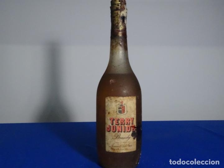 Coleccionismo de vinos y licores: BRANDY TERRY JUNIOR. A&Ntilde;OS 70.