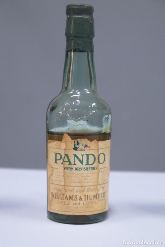 Coleccionismo de vinos y licores: BOTELLIN. PANDO - Foto 1