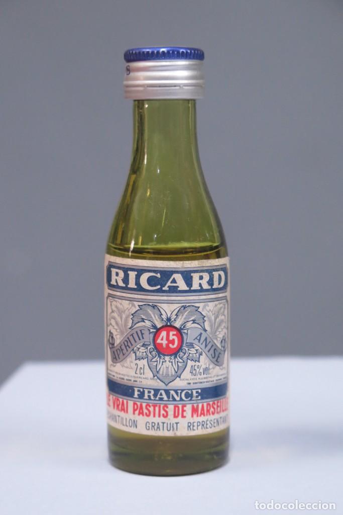 Collection of wines and liquors: BOTELLIN. RICARD. 45