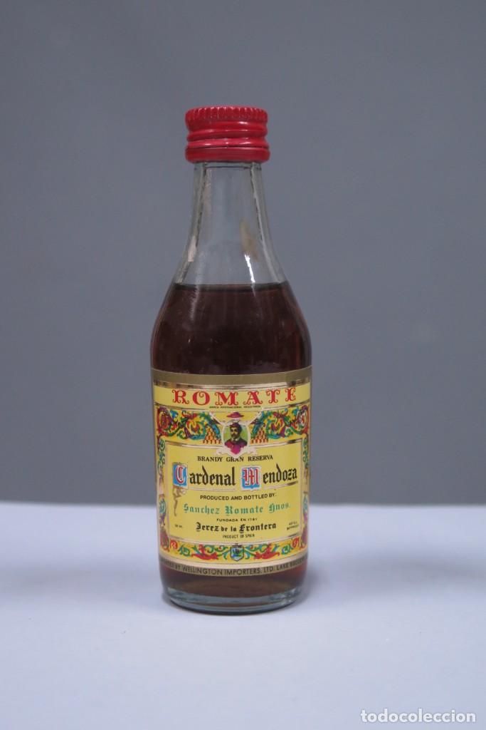 Sammlung von Weinen und Lik&ouml;ren: Botell&iacute;n. ROMATE. CARDENAL MENDONZA