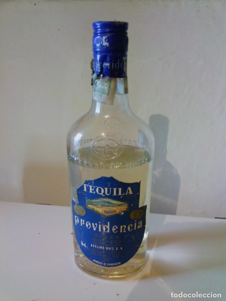 Coleccionismo de vinos y licores: Botella tequila providencia - Foto 1