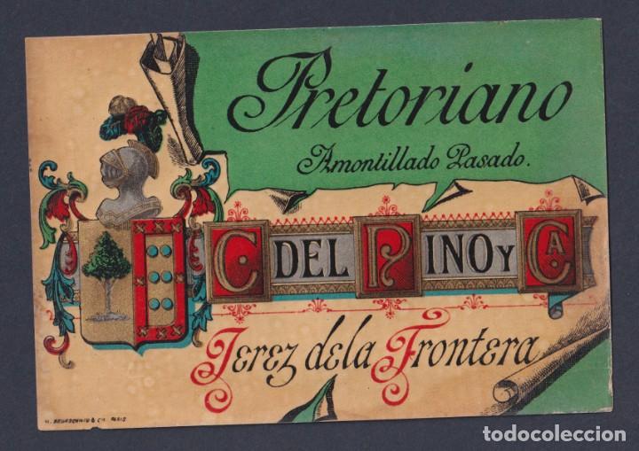 Coleccionismo de vinos y licores: ETIQUETA VINO PRETORIANO AMONTILLADO PASADO. EL PINO Y JEREZ (NUEVA)