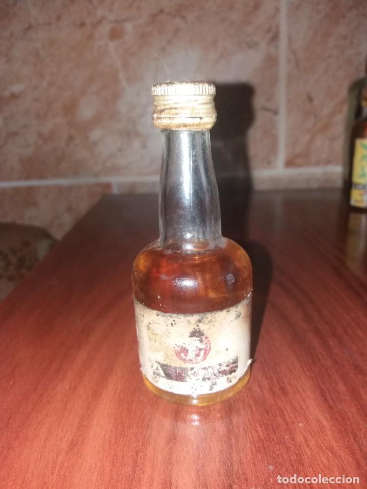 Coleccionismo de vinos y licores: botella botellin licor