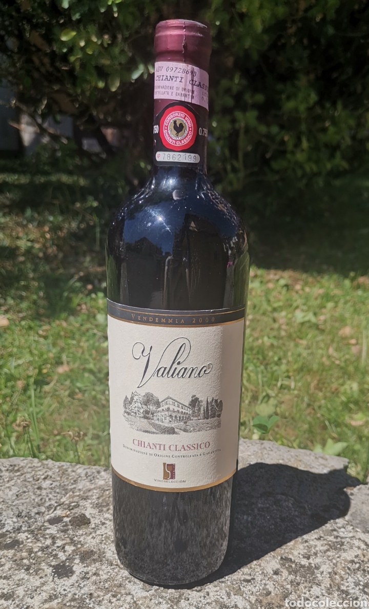 Sammlung von Weinen und Lik&ouml;ren: Botella Vino Valiano Chianti Cl&aacute;ssico - Italia - Cosecha del 2000