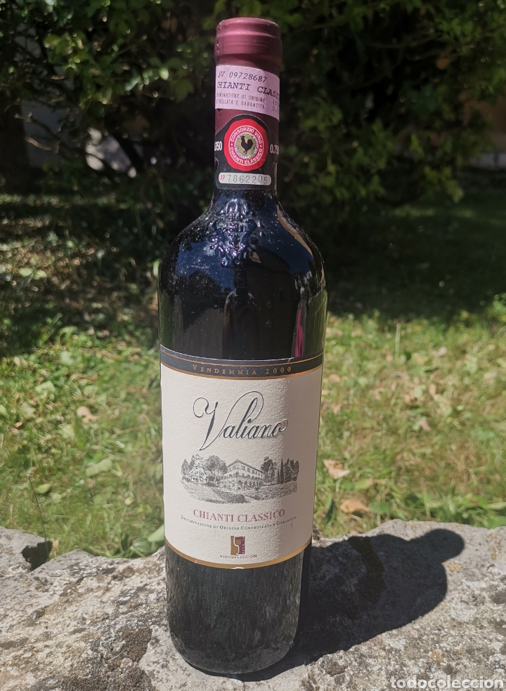 Sammlung von Weinen und Lik&ouml;ren: Botella Vino Valiano Chianti Cl&aacute;ssico - Italia - Cosecha del 2000