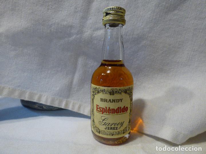 Coleccionismo de vinos y licores: Botellines de licores - Foto 1