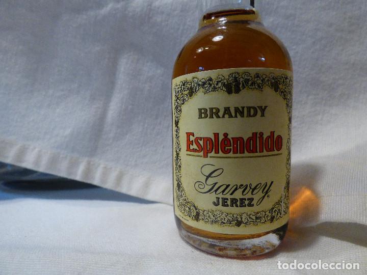 Coleccionismo de vinos y licores: Botellines de licores - Foto 2