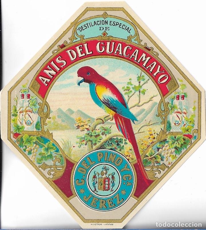Sammlung von Weinen und Lik&ouml;ren: ETIQUETA C.DEL PINO Y C.&ordf; - ANIS DEL GUACAMAYO - JEREZ DE LA FRONTERA (CADIZ) - SIN USAR