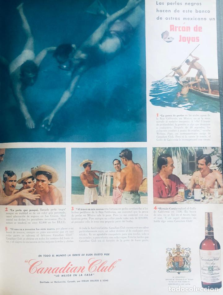 Coleccionismo de vinos y licores: Publicidad en prensa. Perlas y Whisky Canadian Club. Revista original 1954. Gran tama&ntilde;o: 26 x 36 cm.