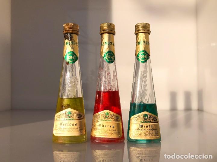 Coleccionismo de vinos y licores: Botellines de licor - Casoni - Precintados/evaporados