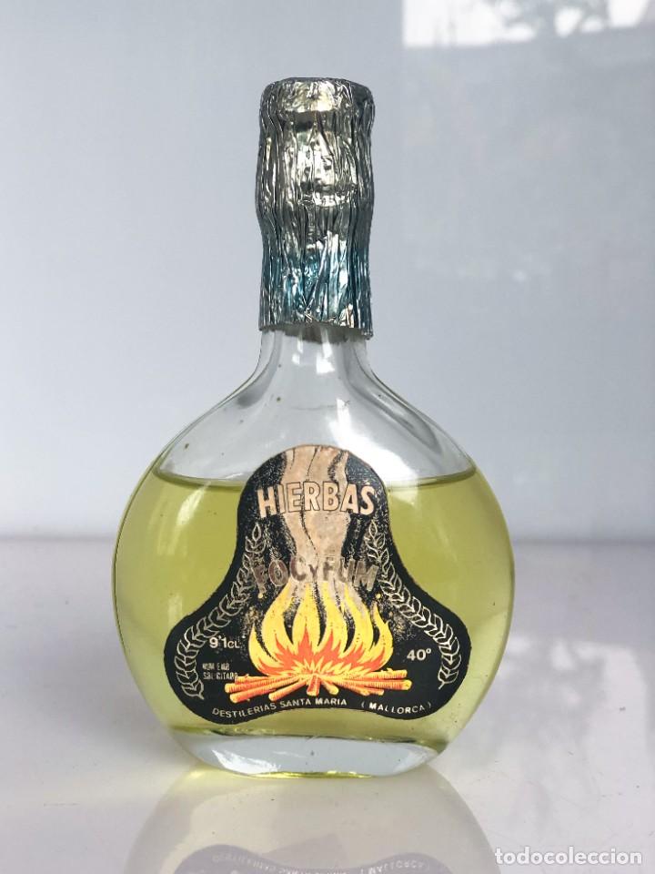 Coleccionismo de vinos y licores: Botellines de licor - Foc y Fum - Precintado