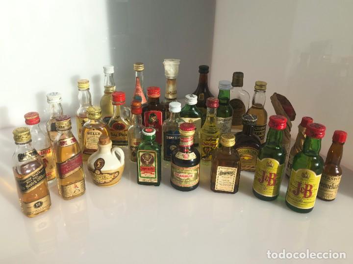 Coleccionismo de vinos y licores: Botellines de licor - Lote de 29 botellines variados y precintados