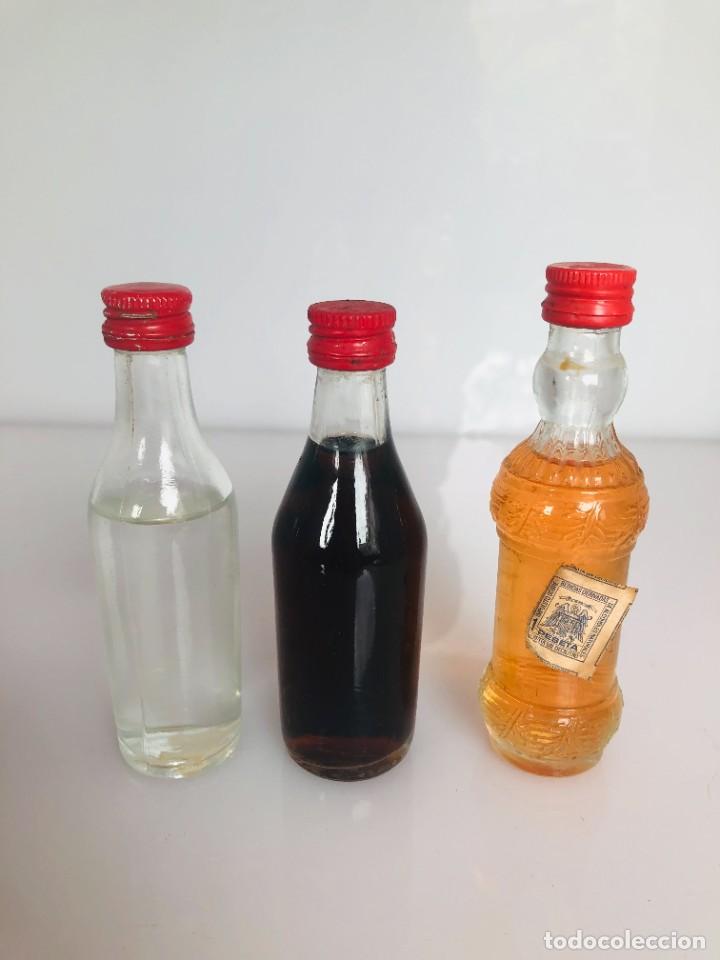 Coleccionismo de vinos y licores: Botellines de licor - Sin etiqueta - Precintados