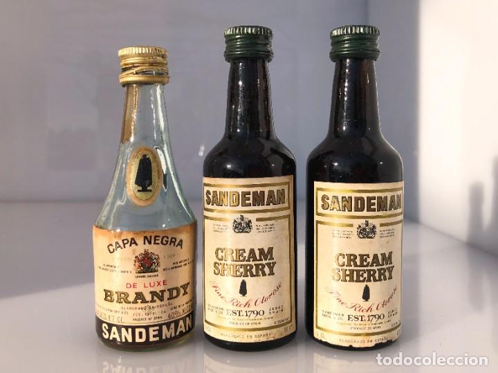 Coleccionismo de vinos y licores: Botellines de licor - Sandeman (destileria) - Precintados