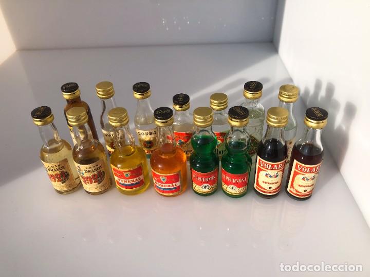 Coleccionismo de vinos y licores: Botellines de licor - Destiler&iacute;a Volart - Lote variado