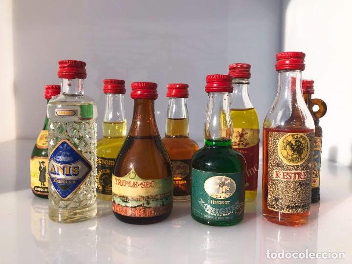 Coleccionismo de vinos y licores: Botellines de licor - Xoriguer - Precintados