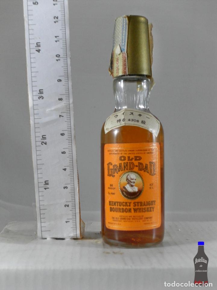 Sammlung von Weinen und Lik&ouml;ren: BOTELLITA BOTELLIN WHISKEY BOURBON KENTUCKY OLD GRAN DAD JAPON