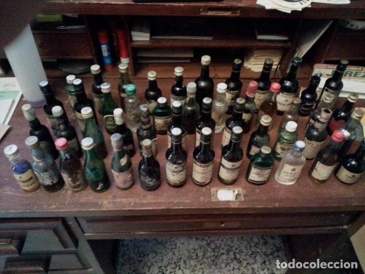 lote de 30 pequeñas botellitas de licores - Compra venta en todocoleccion