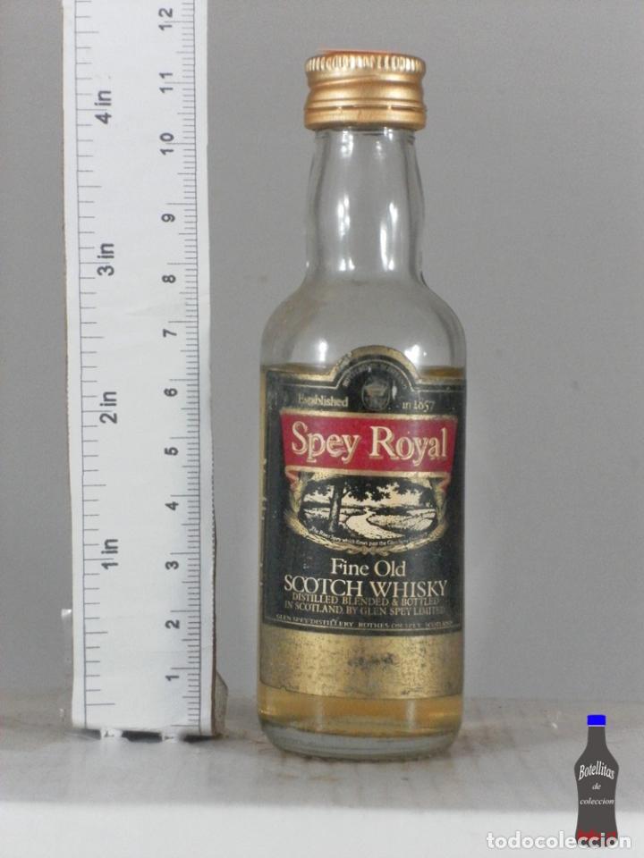 Coleccionismo de vinos y licores: BOTELLITA BOTELLIN WHISKY FINE OLD SPEY ROYAL SCOTLAND