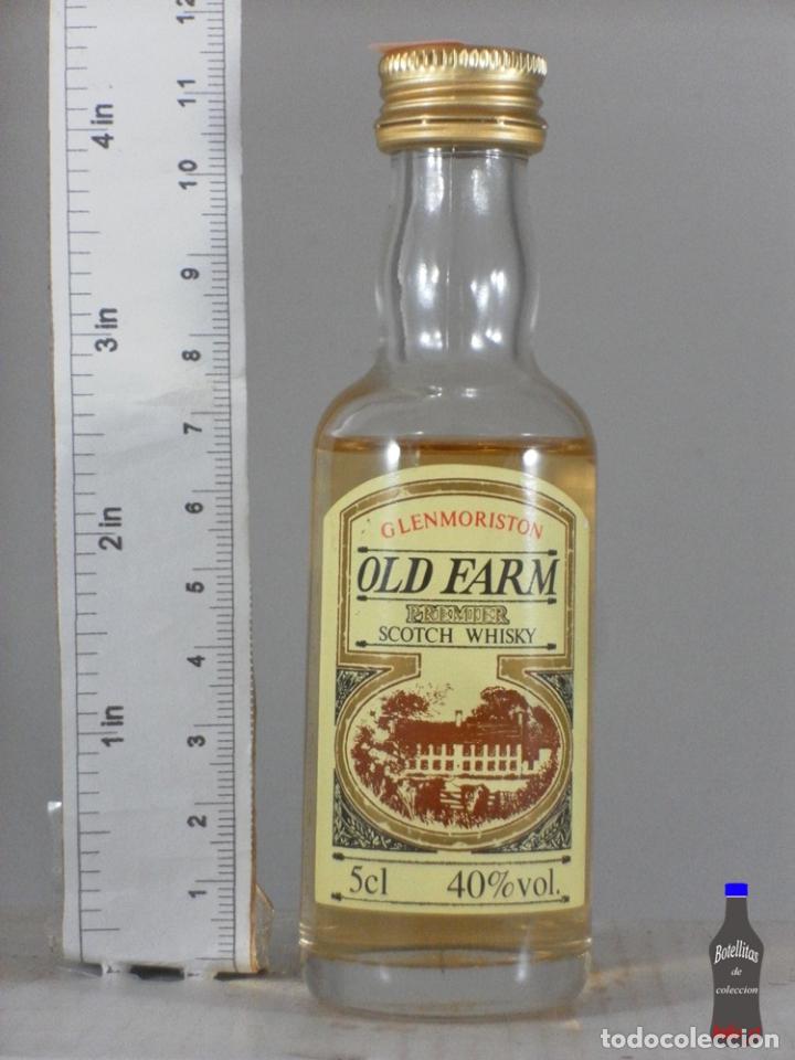 Coleccionismo de vinos y licores: BOTELLITA BOTELLIN WHISKY OLD FARM PREMIER SCOTCH WHISKY GLENMORISTON
