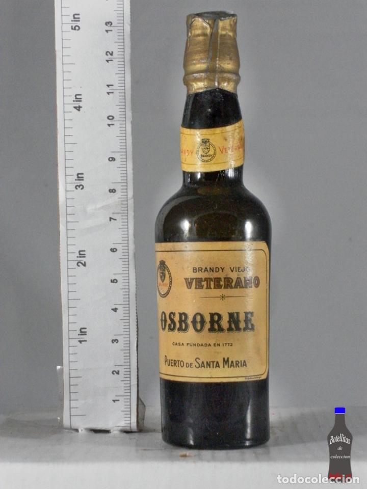 Coleccionismo de vinos y licores: BOTELLITA BOTELLIN BRANDY VIEJO VETERANO OSBORNE PUERTO DE SANTA MARIA