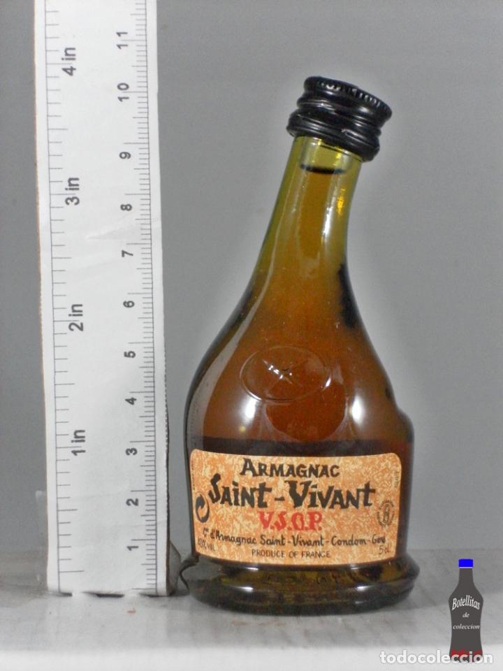 Sammlung von Weinen und Lik&ouml;ren: BOTELLITA BOTELLIN ARMAGNAC SAINT VIVANT VSOP GERS DISTRIBUIDA VINALDA LISBOA