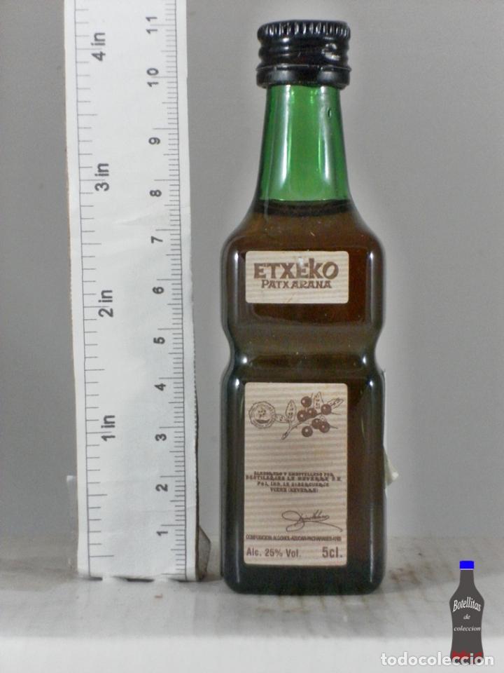 Sammlung von Weinen und Lik&ouml;ren: BOTELLITA BOTELLIN PATXARAN ETXEKO VIANA NAVARRA