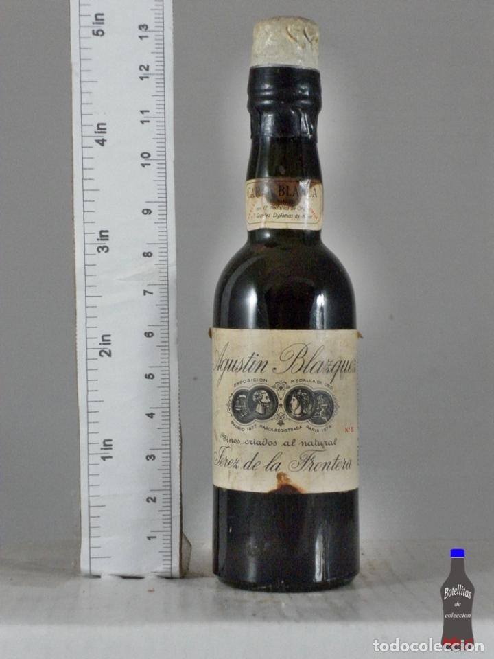 Sammlung von Weinen und Lik&ouml;ren: BOTELLITA BOTELLIN AGUSTIN BLAZQUEZ CARTA BLANCA JEREZ DE LA FRONTERA