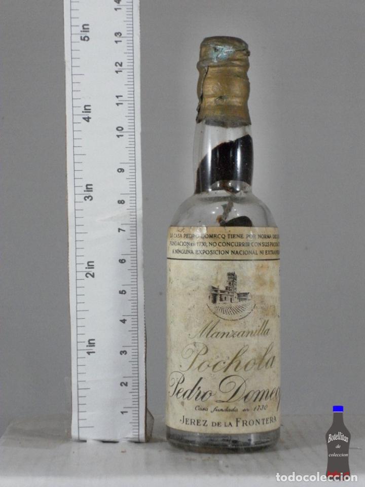Collection of wines and liquors: BOTELLITA BOTELLIN MANZANILLA POCHOLA PEDRO DOMECQ JEREZ DE LA FRONTERA